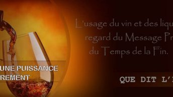 Lusage Du Vin Et Des Liqueurs Fortes Au Regard Du Message Prophetique Du Temps De La Fin